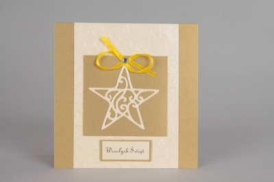 Kartka Świąteczna KSW XI/14