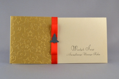 Kartka Świąteczna KSW IX/14